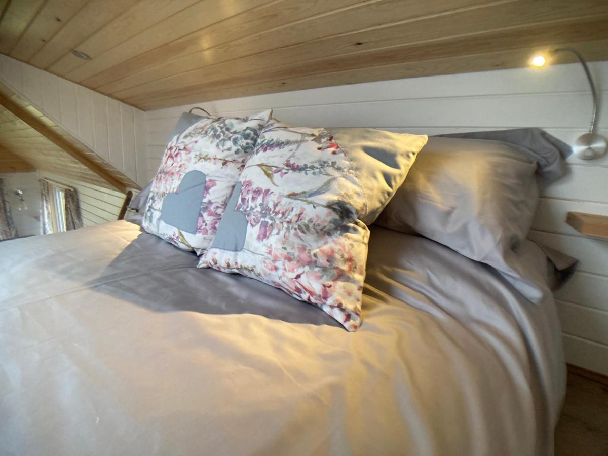 Coldingham The Cedar Tiny House 빌라 외부 사진