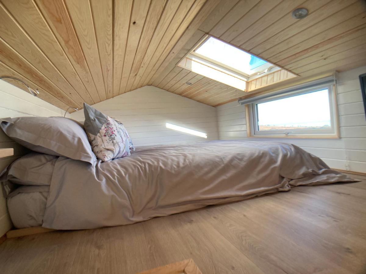 Coldingham The Cedar Tiny House 빌라 외부 사진